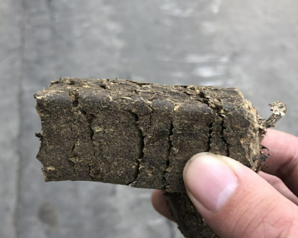 生物干化污泥的资源化利用-3.png